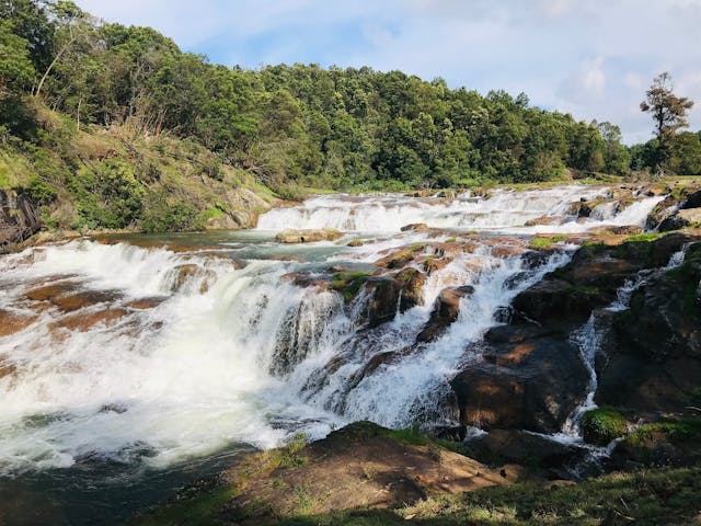 Hydrological assessment services